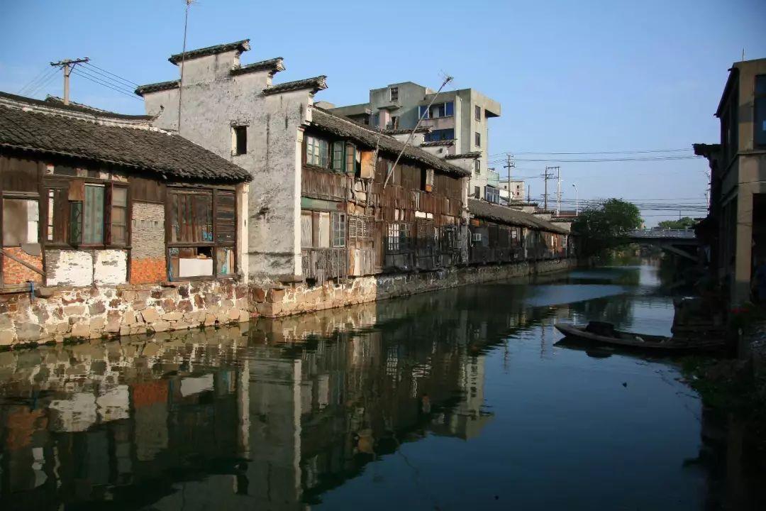 小汪汪